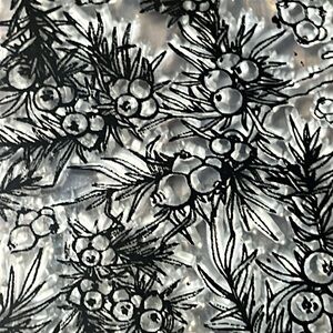 5for$10 Christmas Holly Line Clear Stamp Card Making Decoration and Scrapbooking